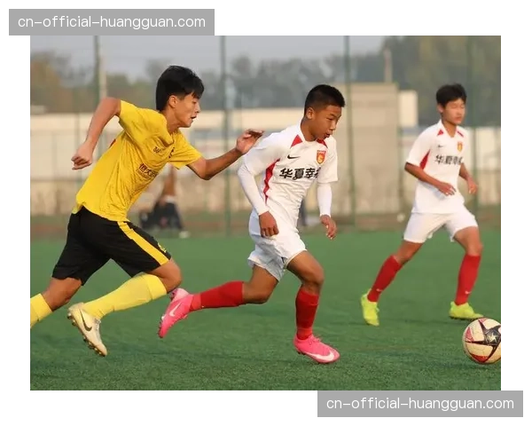 青训回报率调查：哪些CBA俱乐部的自家青训球员已成为核心力量？